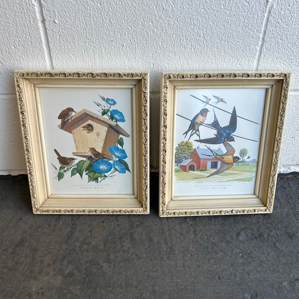 Vintage Wooden Molded Ornate Edge Frames Botanical Bird Prints Wall Art